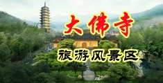 鸡巴叉逼逼的视频啊啊啊好疼啊啊啊中国浙江-新昌大佛寺旅游风景区